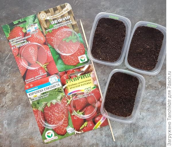 &quot;Зарисовки&quot;