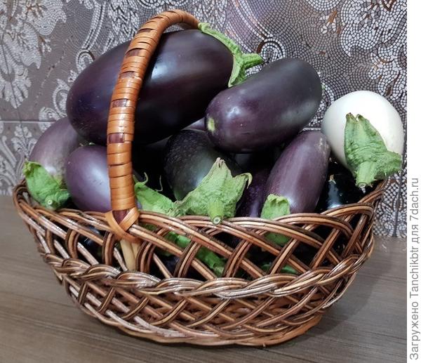 скромная корзинка третьего сбора