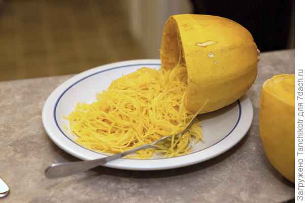 &quot;макаронный кабачок&quot;