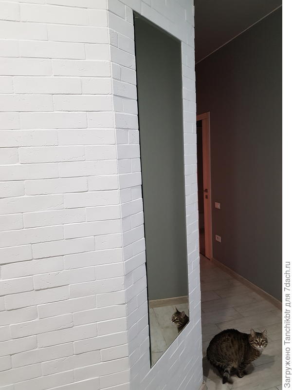 Зеркало в коридоре (160×45 см)