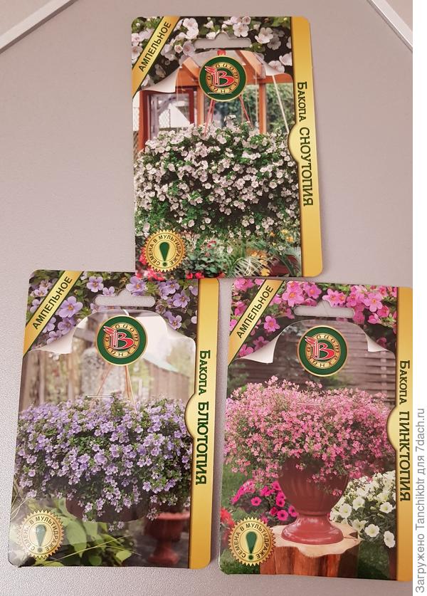 семена бакопы