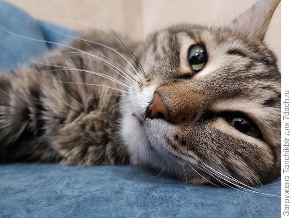 От моего балдежника и вовсе поздравлений не дождешься)))) хотя никто не отвлекает ;)