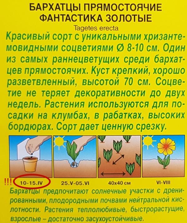 информация на других пачках с семенами бархатцев