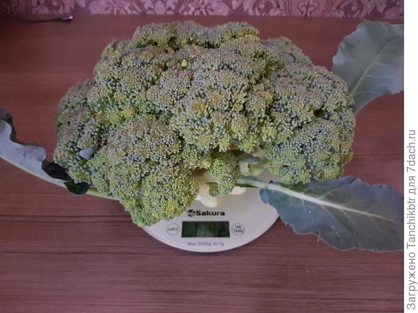 Почти все ушли за 1500 г