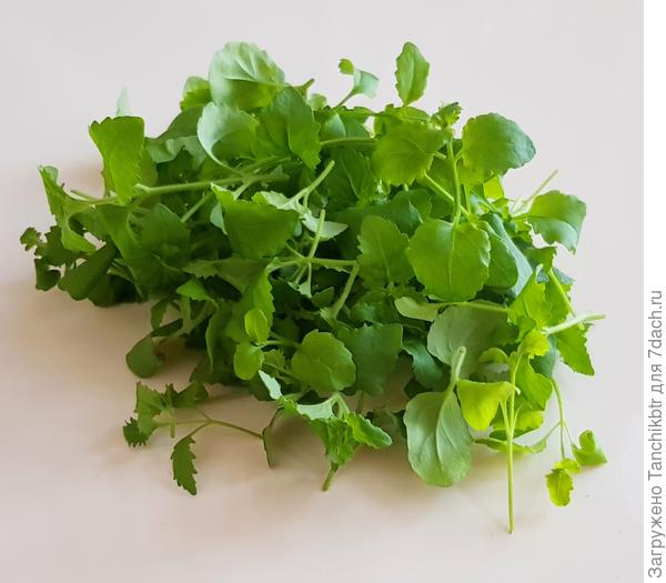 "урожай" :) )))