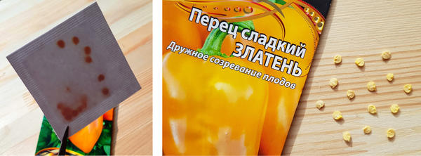 Семена перца Златень