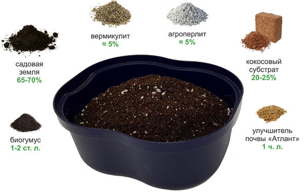 готовлю почвогрунт