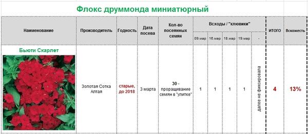 результаты всхожести семян флокса