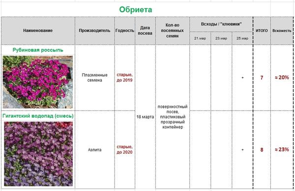 результаты всхожести семян барвинка