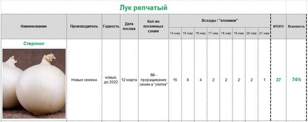 результаты всхожести семян репчатого лука