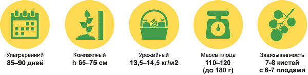Основные характеристики гибрида Быстренок