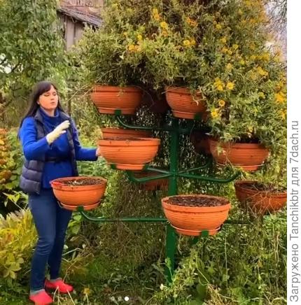 Сама конструкция. Понятно, что не понятно (сорри за тавтологию), как маскировать "художество" в период осень-зима-весна. Но, возможно, есть варианты. Хотя, если кашпо снять, наверное, уже не так будет бросаться в глаза