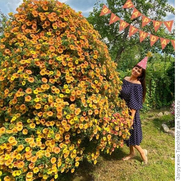 Очень эффектно смотрится