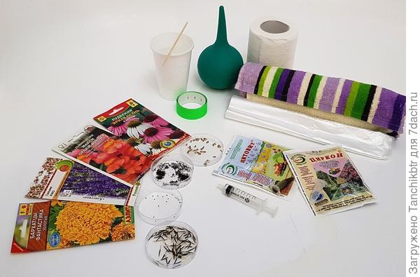 фото, как есть