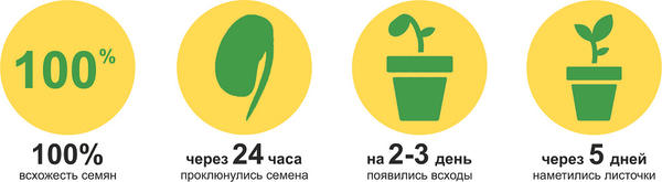 Итоги первого этапа