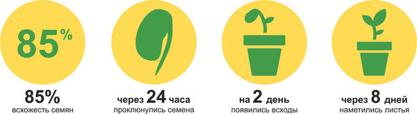 итоги первого этапа