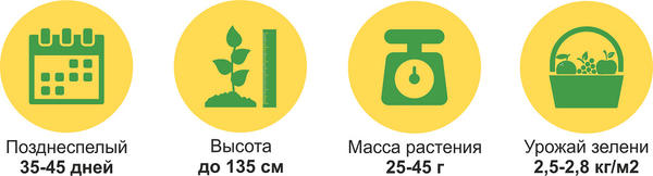 характеристики сорта