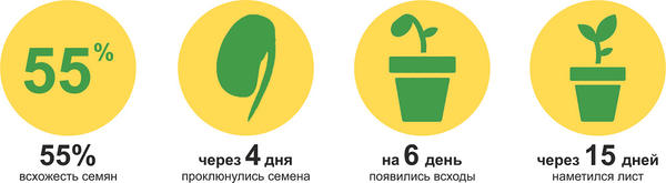 первые результаты