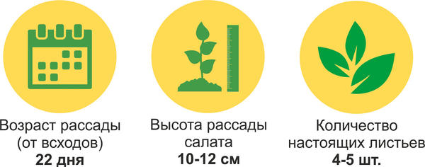 итоги