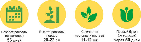 итоги