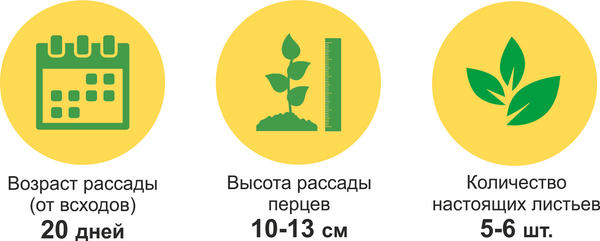 итоги
