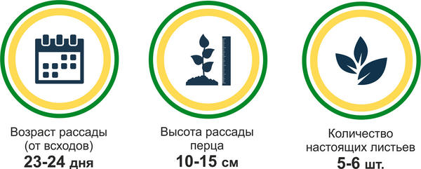 итоги