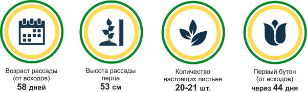 итоги
