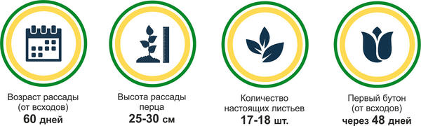 итоги
