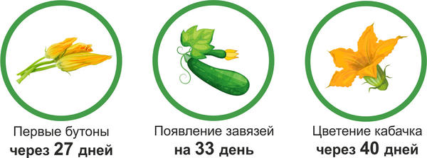 итоги 2-го этапа