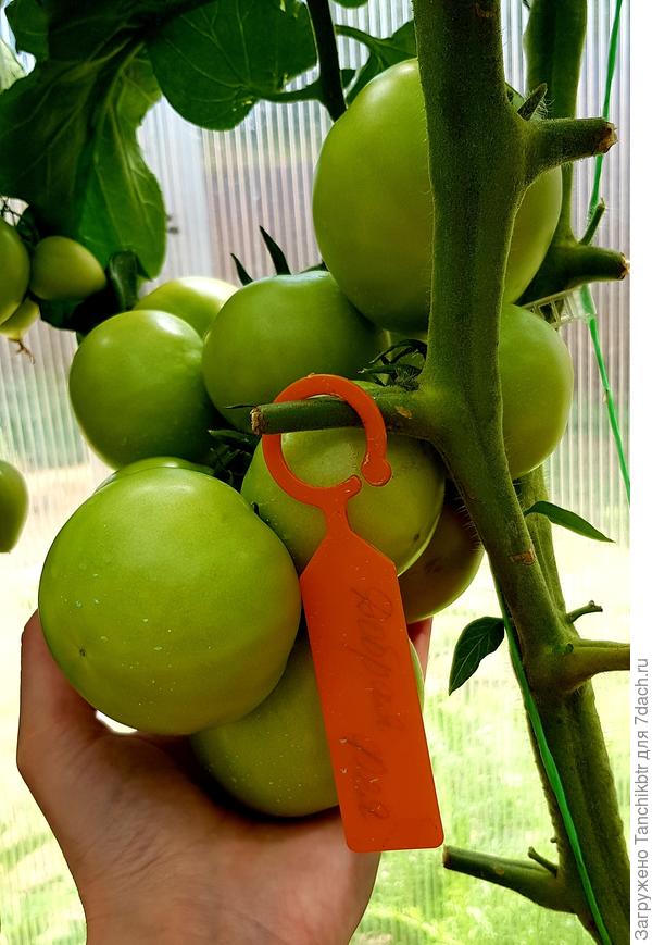 Реальность с ожиданием не совпадают