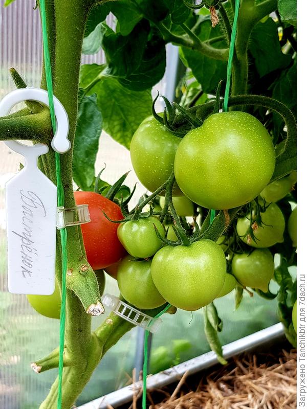 На 10 июля таким был