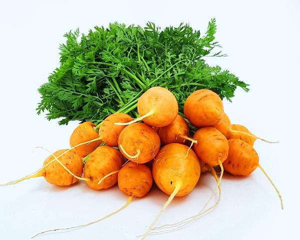 Морковь Парижская каротель
