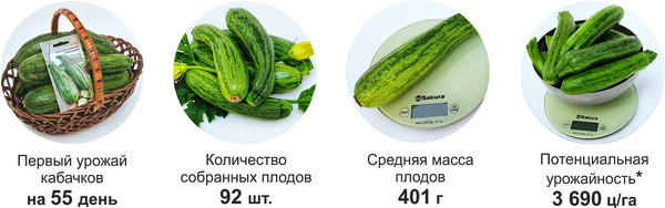 итоги тестирования кабачка