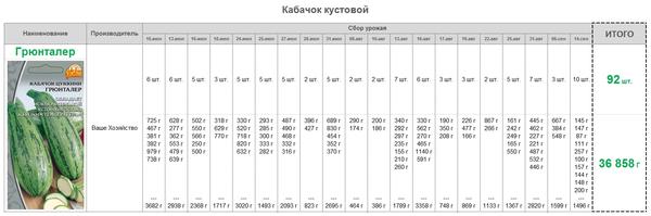 урожайность кабачка Грюнталер зашкаливает