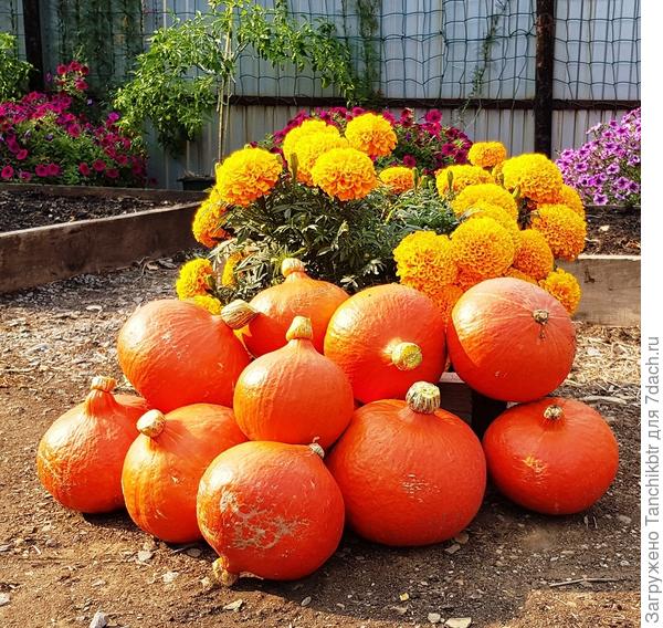 Здесь уже яркие