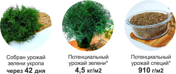 результаты III этапа