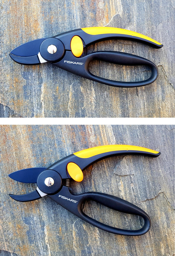 Основной приз - секатор Fiskars