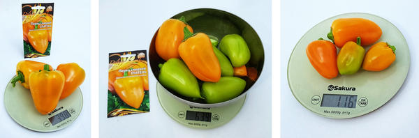 общий урожай