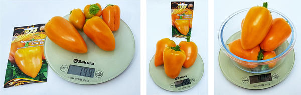 общий урожай