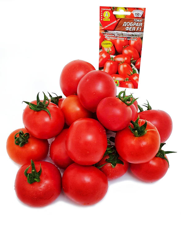 томат Добрая фея