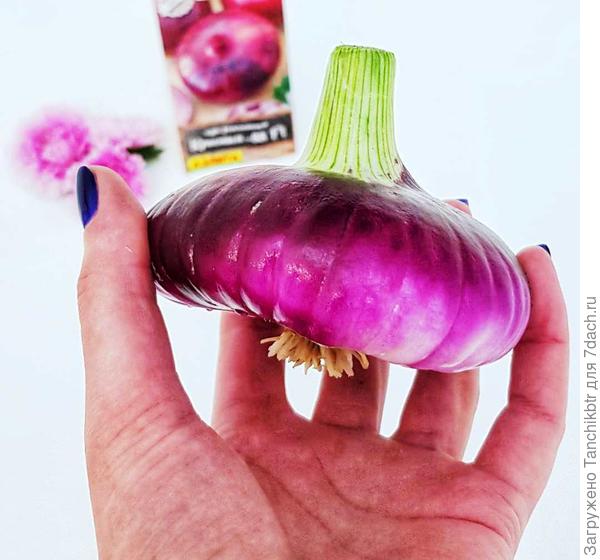 Такая же плоская форма, крупный