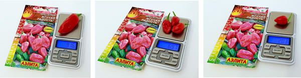 Жгучая радость: вес плодов