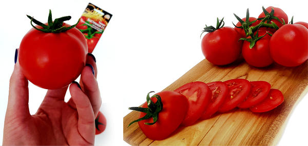 Плод томата Быстрёнок