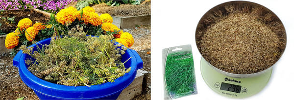 Урожай специй