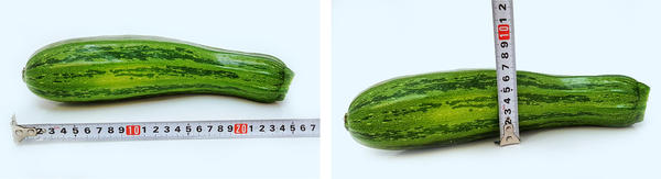 Более крупные плоды получались длиной 25-35 см, диаметром 6-8 см