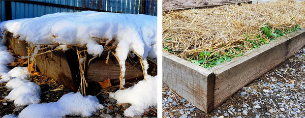 Вот такой получается «пирог» и хорошее снегозадержание (фотография от 21 и 27 октября 2021 г).