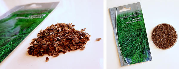 Семена укропа