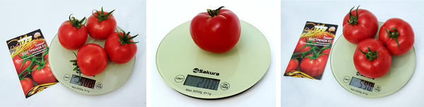 Крупные томаты