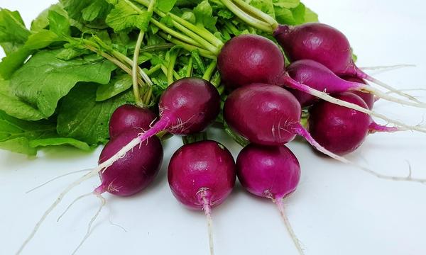 Фиолетовая королева