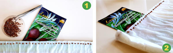 Редис &#39;Фиолетовая королева&#39;: посев